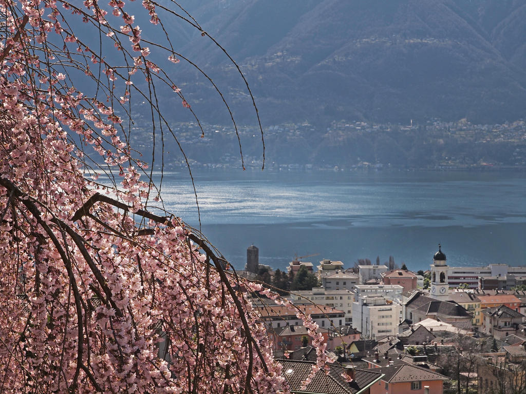 Casa Sibylle Bei Locarno Lägenhet Exteriör bild